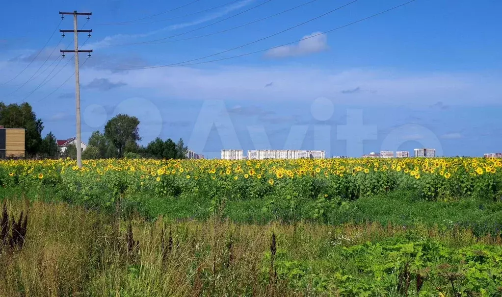 Участок 120 га (СНТ, ДНП) - Фото 0