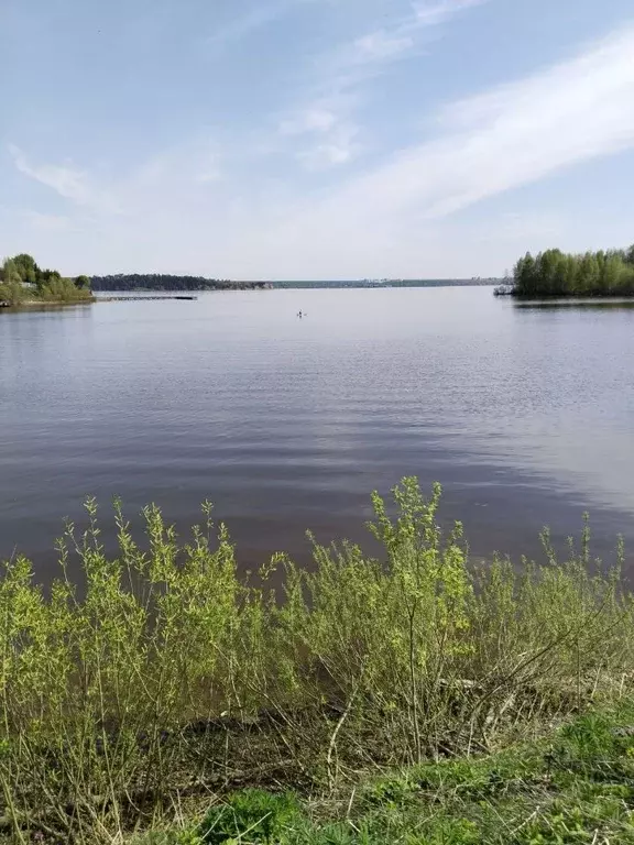 Участок в Пермский край, Пермский муниципальный округ, д. Тупица  ... - Фото 1