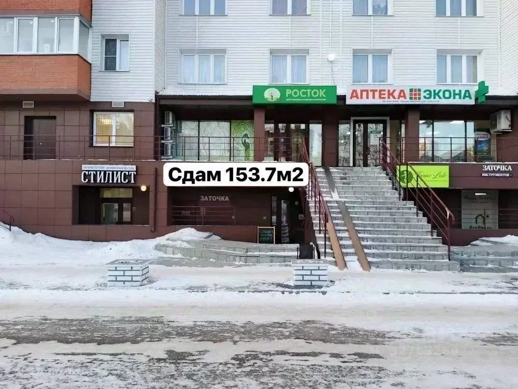 Помещение свободного назначения в Новосибирская область, Новосибирский ... - Фото 1