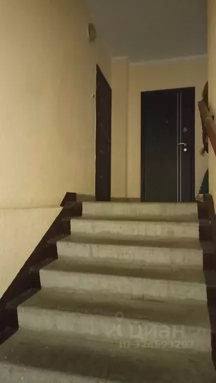 2-к кв. Калининградская область, Калининград ул. Добролюбова, 37 (60.0 ... - Фото 2