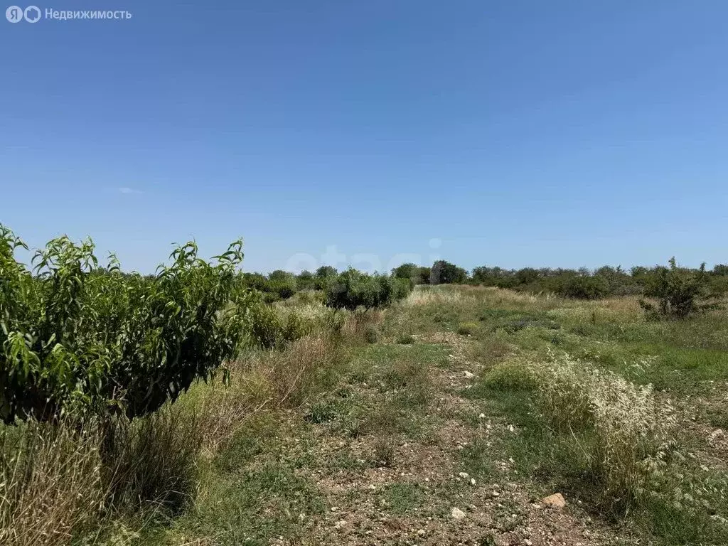 Участок в Изюмовка, Винзаводская улица (60 м) - Фото 1