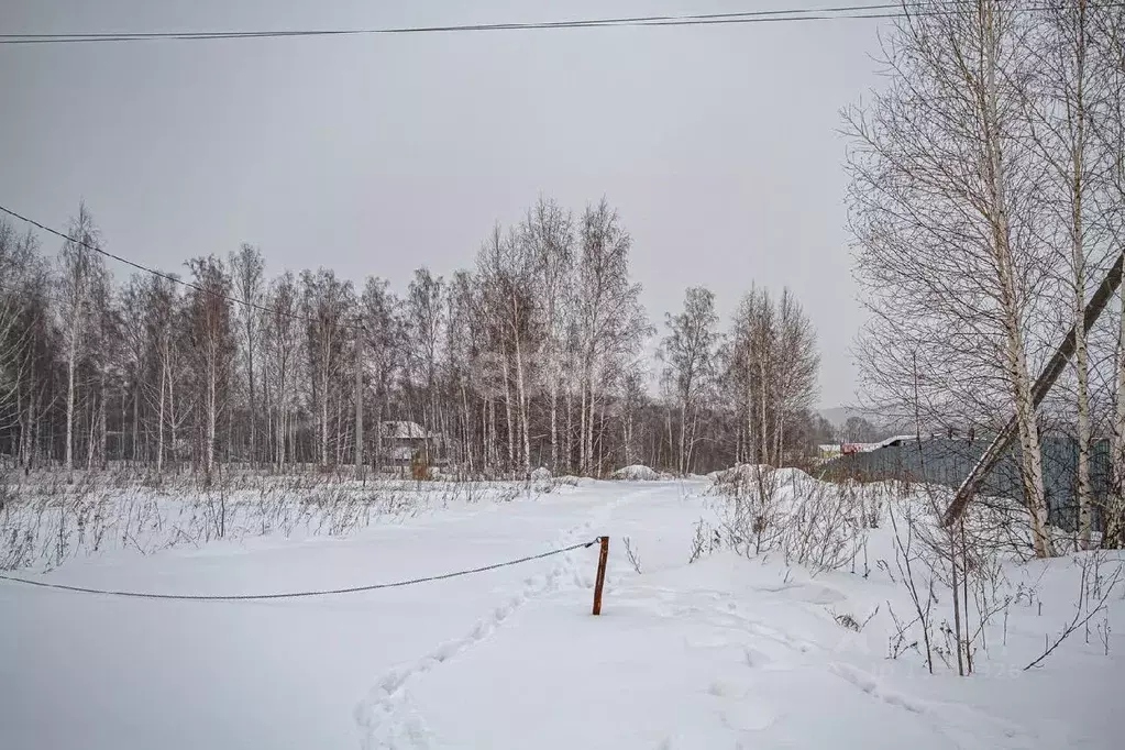 участок в новосибирская область, новосибирск ул. евгения глинского . - Фото 1