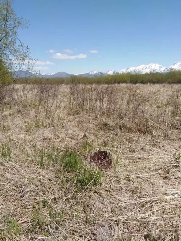 Участок в Воронежская область, Рамонский район, Ступинское с/пос, Вита ... - Фото 1
