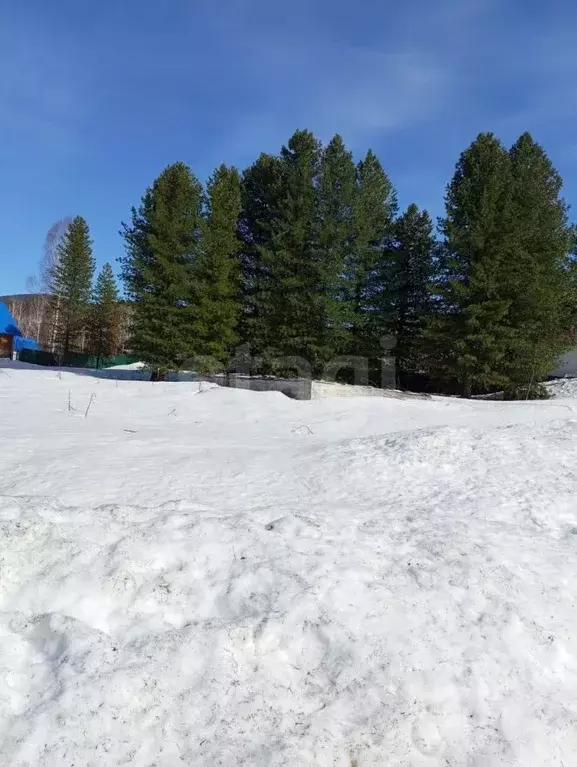 Участок в Кемеровская область, Таштагол ул. Урицкого, 6В (15.0 сот.) - Фото 1