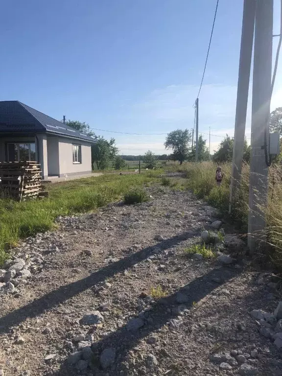 Участок в Калининградская область, Гурьевский муниципальный округ, ... - Фото 1