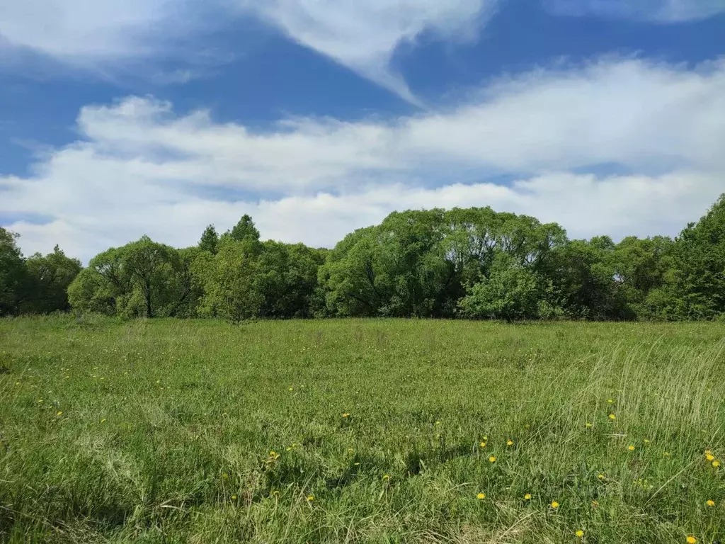 Участок в Ивановская область, Ивановский район, Куликовское с/пос, д. ... - Фото 1