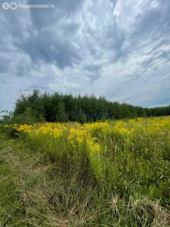 Участок в Заозерье, Цветочная улица, 4 (30 м) - Фото 1