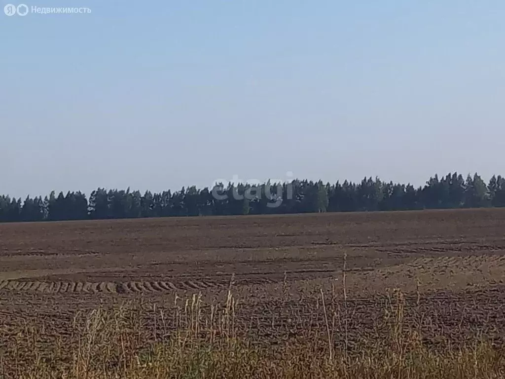 Участок в Липецкая область, Добровский муниципальный округ, село ... - Фото 0