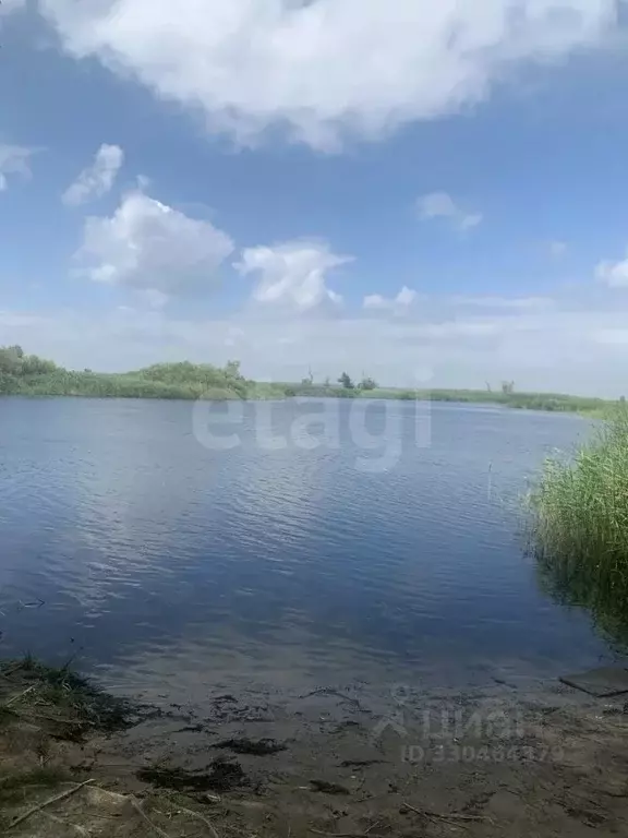Участок в Саратовская область, Энгельсский район, Красноярское ... - Фото 1