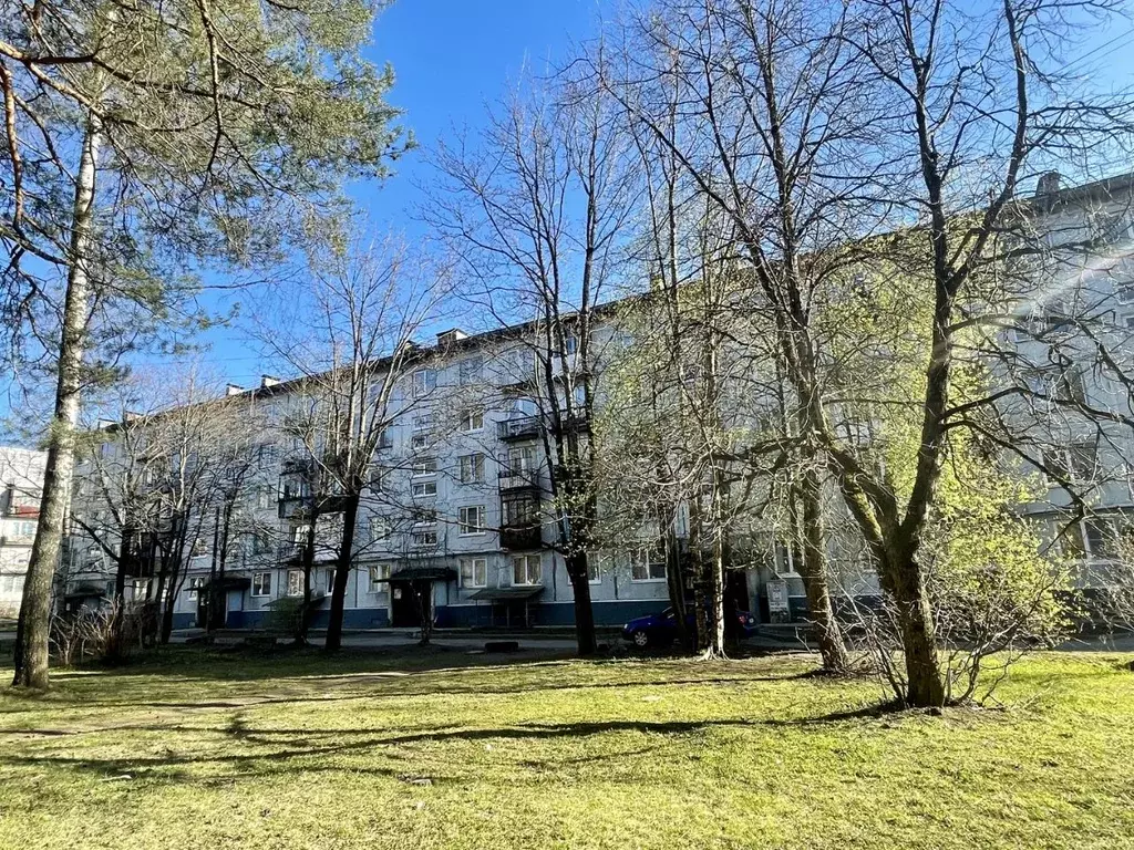 2-к кв. Ленинградская область, Сертолово Всеволожский район, Черная ... - Фото 1