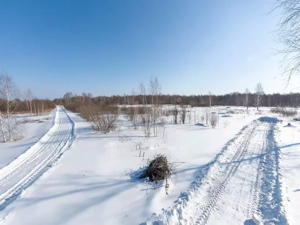 Участок в Тюменская область, Нижнетавдинский муниципальный округ, ... - Фото 1