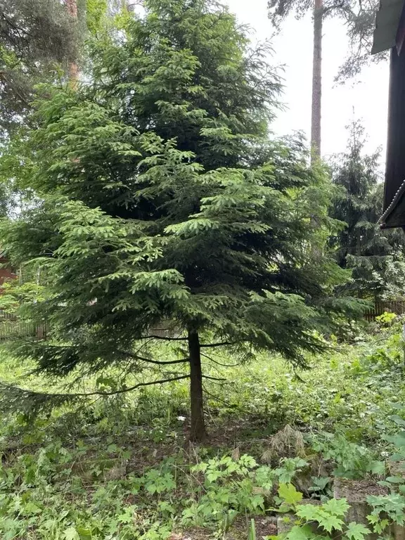 Дом в Московская область, Королев Болшево мкр, Магистральная ул., 10 ... - Фото 1