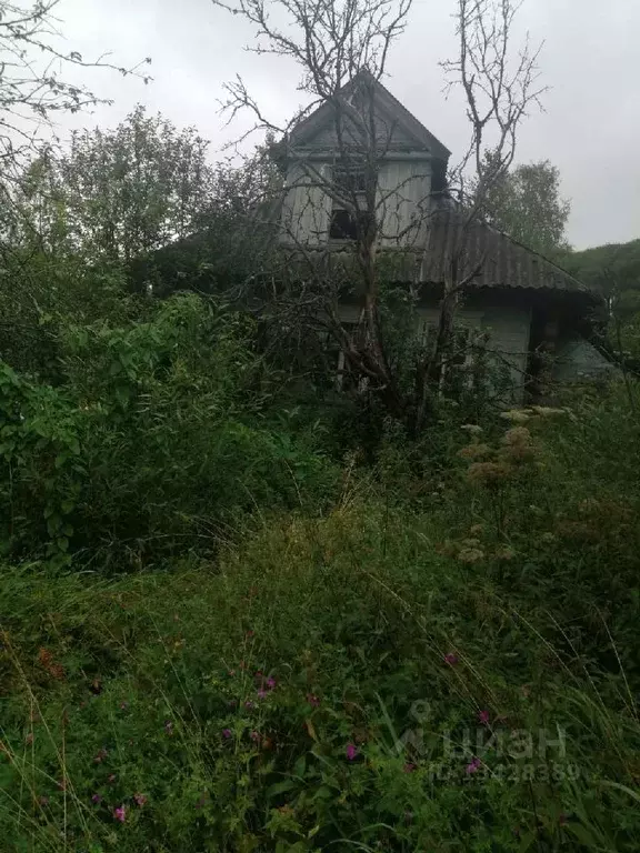 Участок в Новгородская область, Маловишерский район, Большевишерское ... - Фото 1