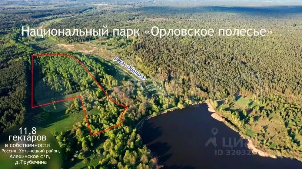 Участок в Орловская область, Хотынецкий район, д. Алехино  (1180.0 ... - Фото 0