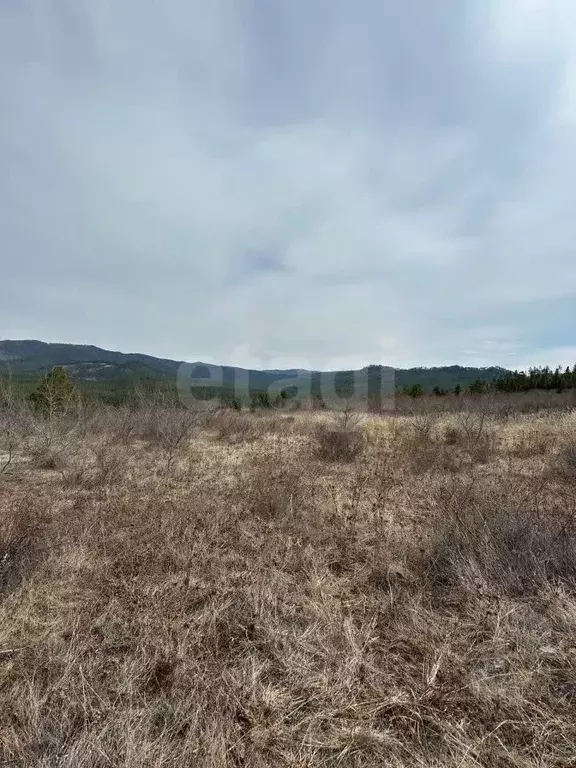 Участок в Бурятия, Тарбагатайский район, Саянтуйское с/пос, с. Нижний ... - Фото 1