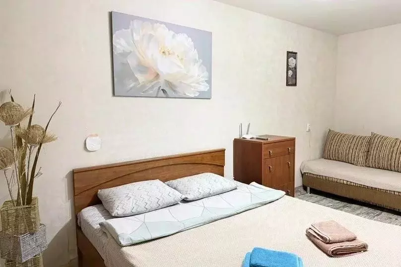 1-к кв. Калмыкия, Элиста 1-й мкр, 20 (30.0 м) - Фото 2
