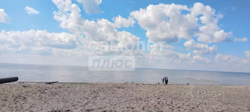 Дом в Новосибирская область, Бердск Колос СНТ, 61 (180 м) - Фото 1