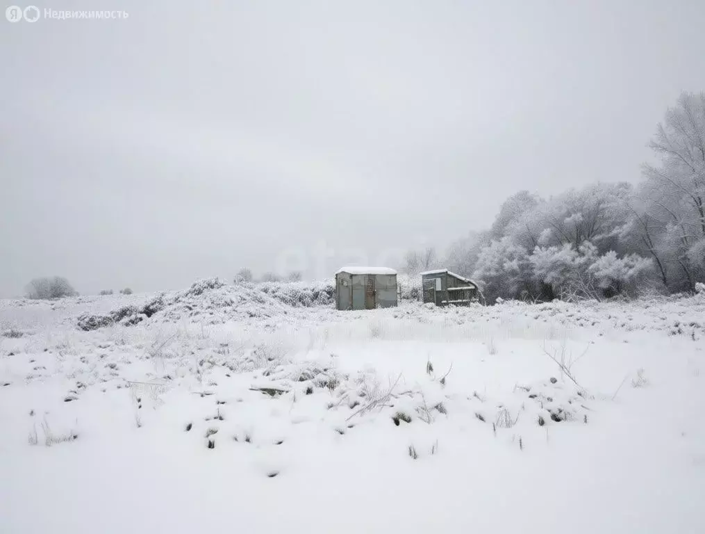 Участок в Ярославский муниципальный округ, деревня Кузнечиха ... - Фото 1