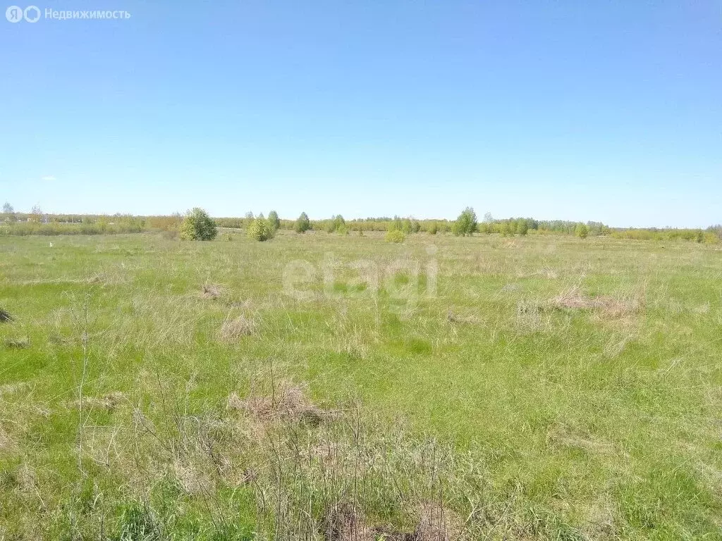 Участок в Котовск, Кузьминская улица (10.04 м) - Фото 1