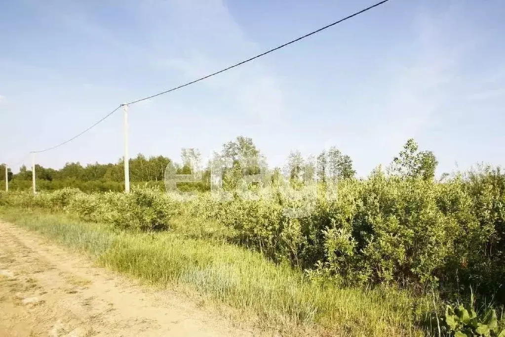 Участок в Тюменская область, Ялуторовский муниципальный округ, ... - Фото 2