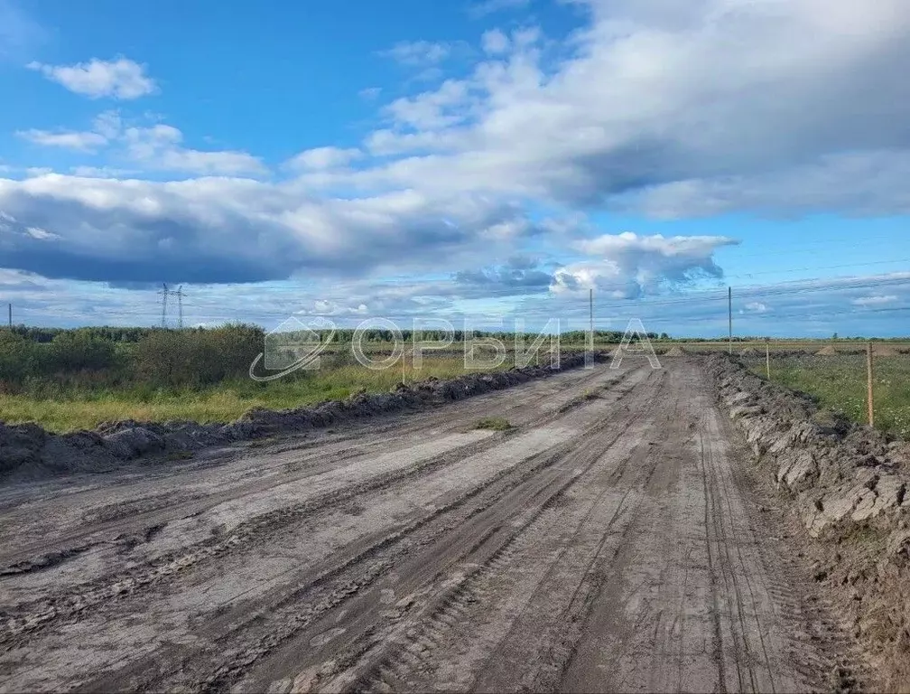 Участок в Тюменская область, Тюменский муниципальный округ, с. Щербак  ... - Фото 2