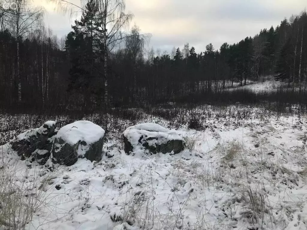 Участок в Республика Карелия, Лахденпохский муниципальный округ, ... - Фото 0