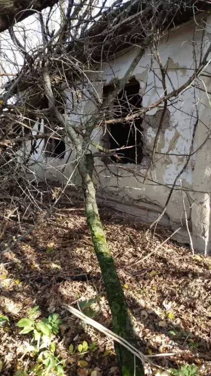 Дом в Курская область, Пристенский район, Нагольненский сельсовет, с. ... - Фото 1