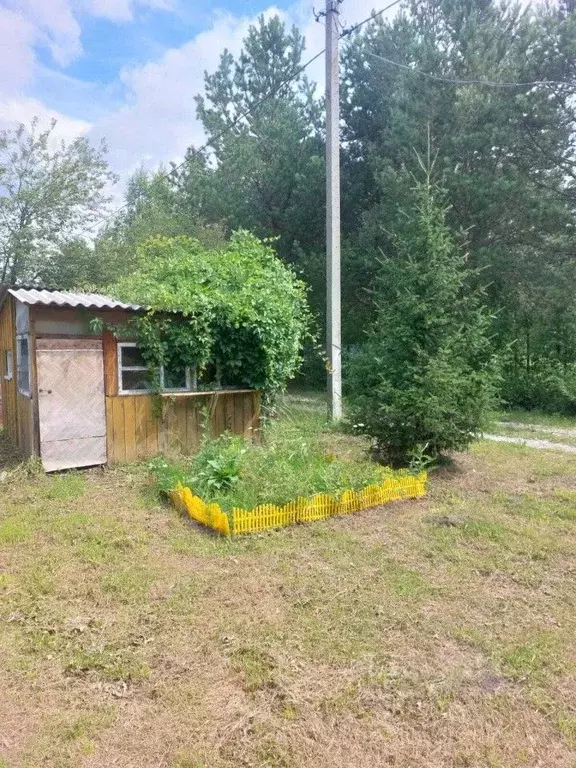 Дом в Свердловская область, Екатеринбург Родники СНТ, 127 (35 м) - Фото 2