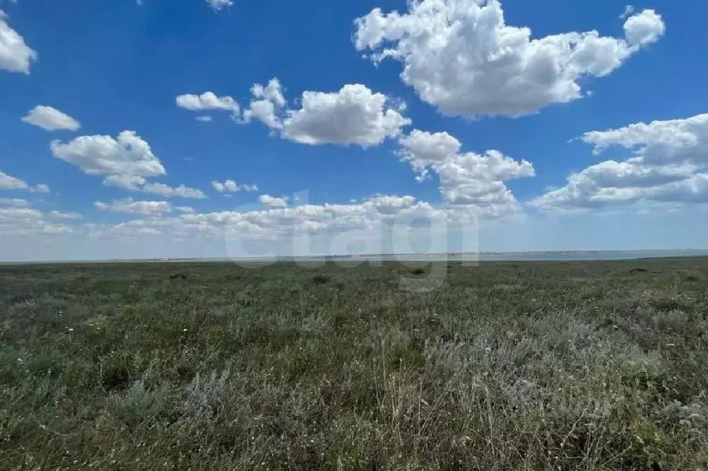 Участок в Крым, Черноморский район, с. Новоивановка  (7.0 сот.) - Фото 1