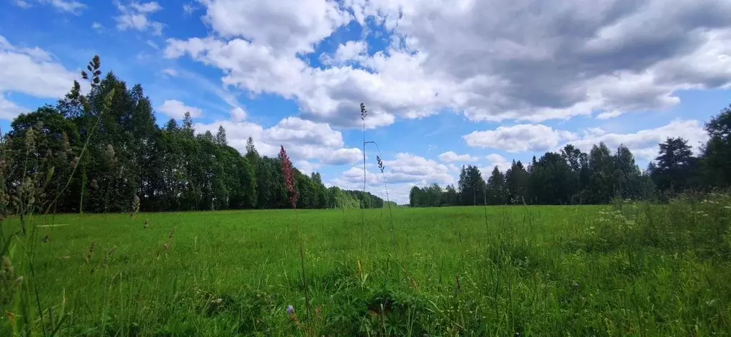 Участок в Ленинградская область, Киришский район, Пчевжинское с/пос, ... - Фото 1