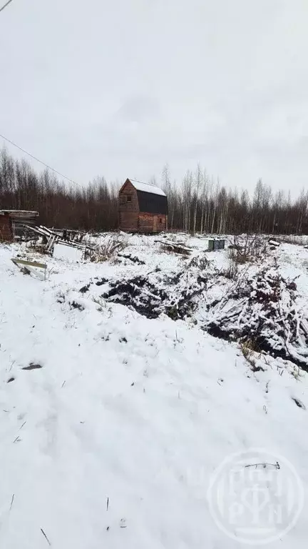 Участок в Ленинградская область, Всеволожский район, Рахьинское ... - Фото 1