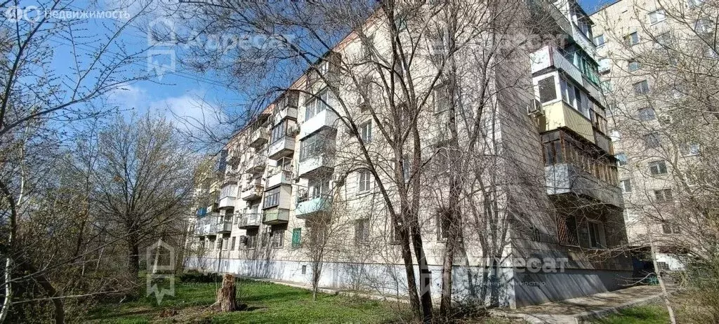 1-комнатная квартира: Волгоград, улица Хользунова, 30 (31 м) - Фото 1