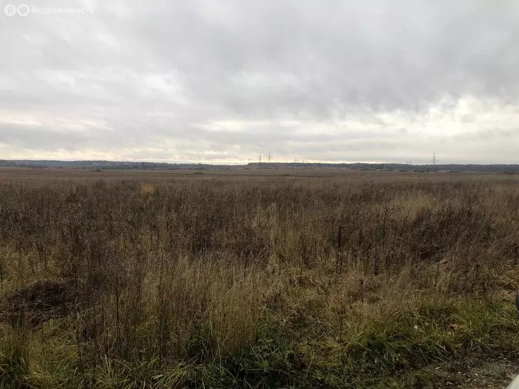 Участок в Вологодский муниципальный округ, посёлок Непотягово (2.62 м) - Фото 1