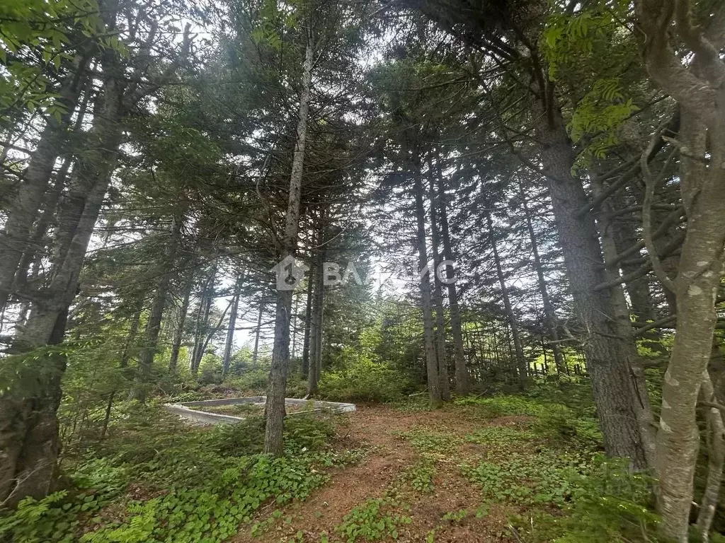 Участок в Сахалинская область, Корсаковский городской округ, с. Дачное ... - Фото 0