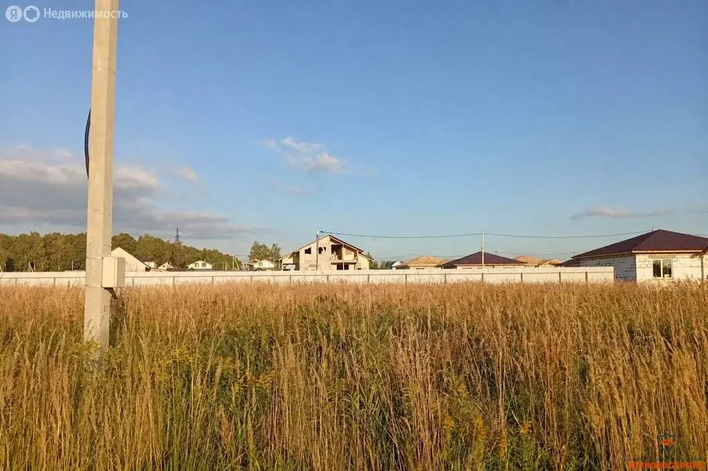 Участок в Московская область, Раменский муниципальный округ, село ... - Фото 2