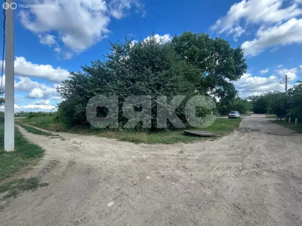 Участок в Стрелка, Виноградная улица, 1 (20 м) - Фото 1