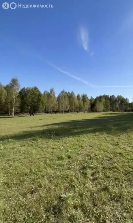 Участок в Нижегородская область, Городецкий муниципальный округ, ... - Фото 1
