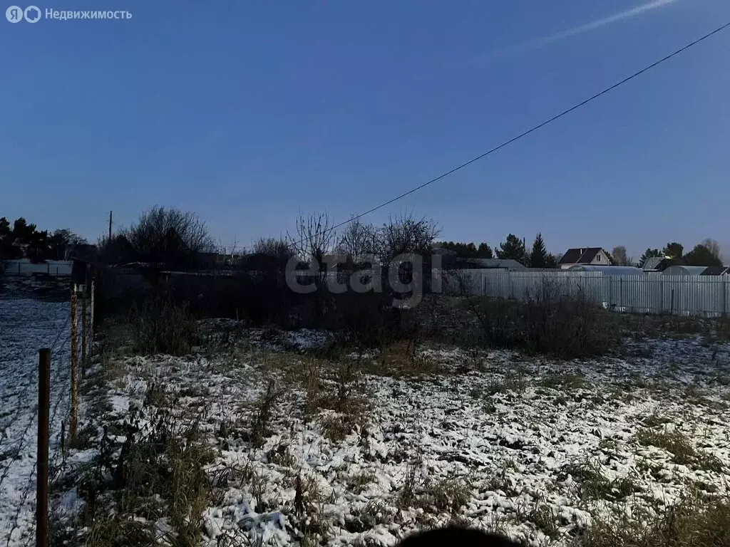 Участок в Тюменский муниципальный округ, СНТ Горошинка, 2-я улица ... - Фото 2