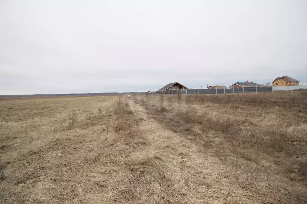 Участок в Калужская область, Дзержинский муниципальный округ, с. ... - Фото 2