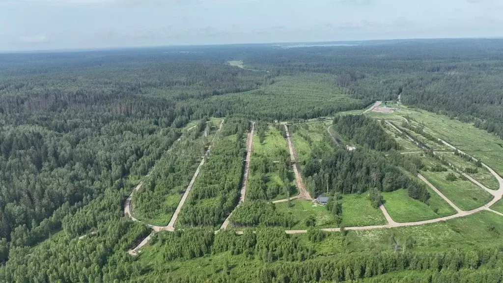 Участок в Ленинградская область, Приозерский район, Раздольевское ... - Фото 1