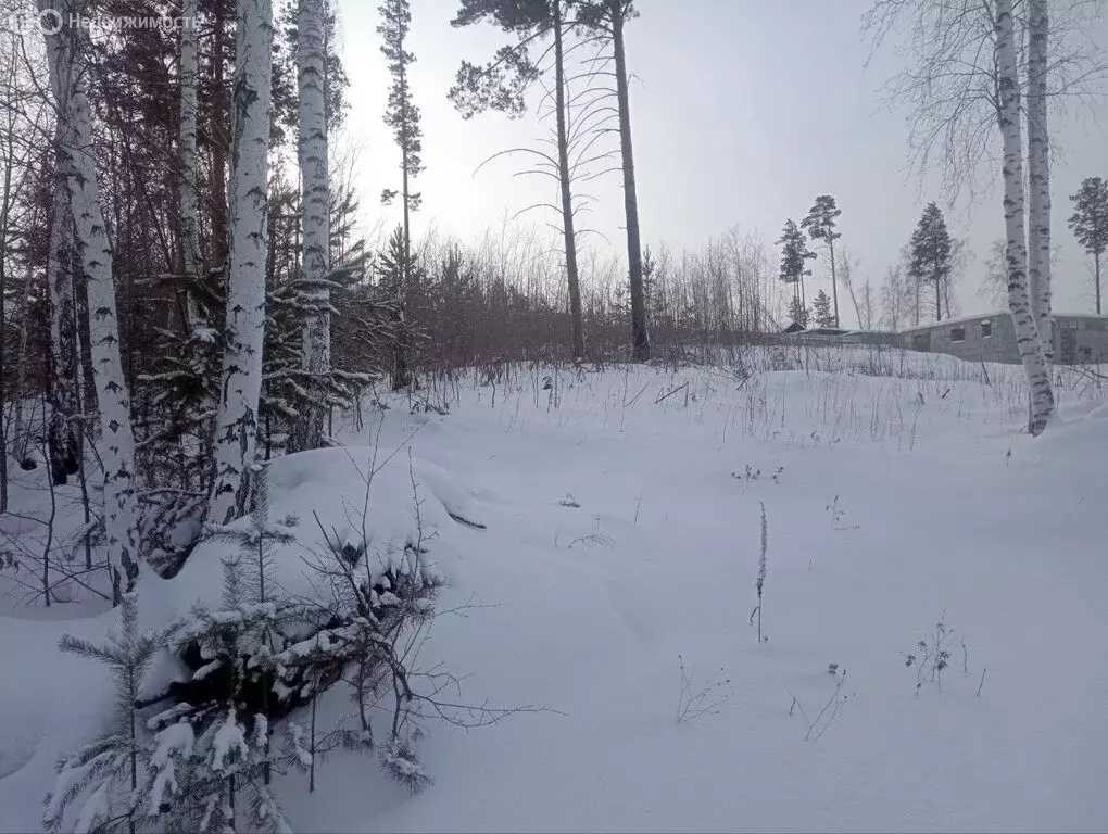 Участок в село Мамоны, Унгинский переулок (14 м) - Фото 2