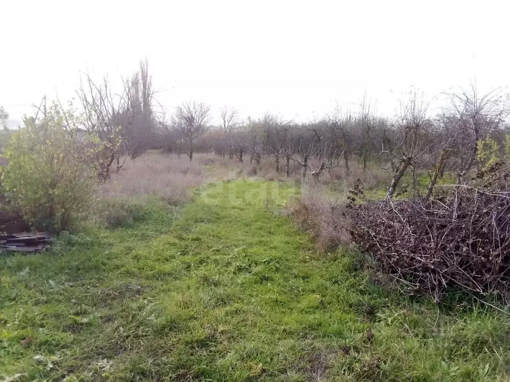 Участок в Краснодарский край, Красноармейский район, Трудобеликовское ... - Фото 2