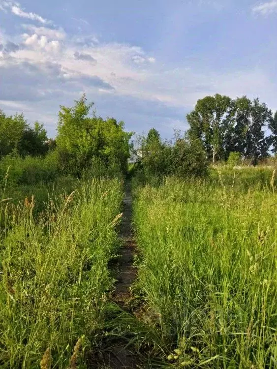 Участок в Кемеровская область, Кемерово Сухой Искитим СНТ,  (22.0 ... - Фото 1