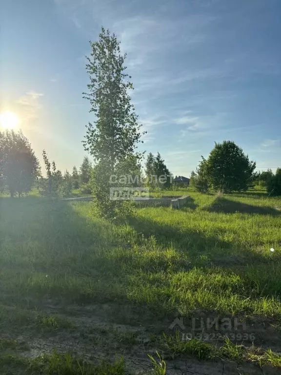 Участок в Марий Эл, Йошкар-Ола городской округ, д. Шоя-Кузнецово ... - Фото 1