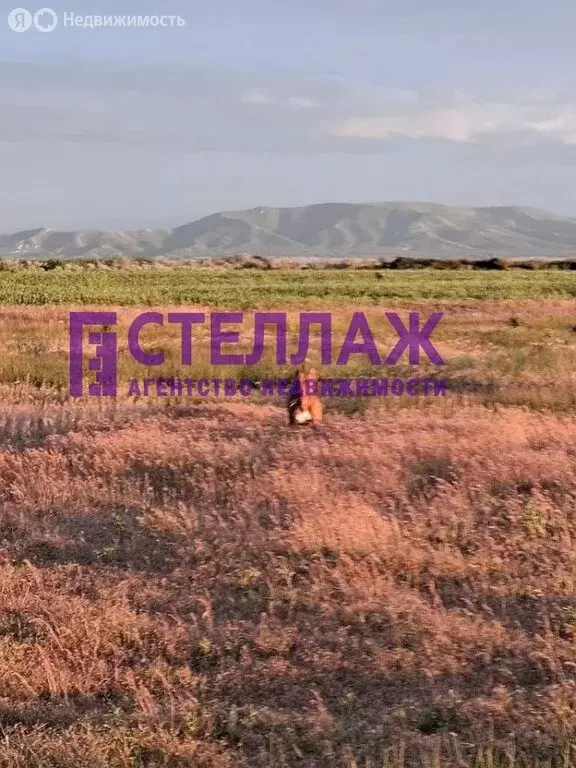 Участок в Ильичёвское сельское поселение, село Дятловка, Трудовая ... - Фото 1