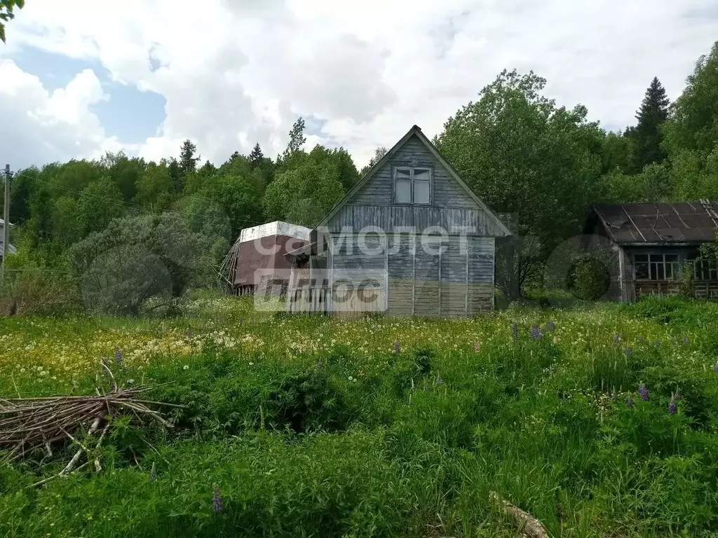 Участок 6 сот. (СНТ, ДНП) - Фото 0