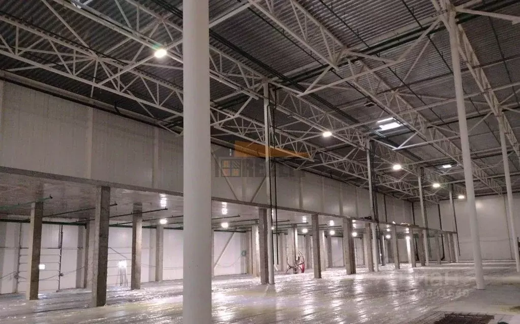 Производственное помещение в Московская область, Богородский городской ... - Фото 1