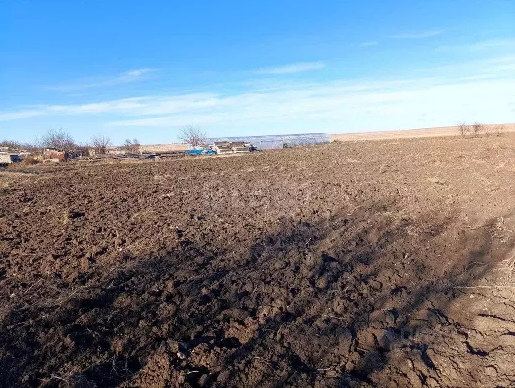 Участок в Крым, Черноморский район, Окуневское с/пос, с. Знаменское ... - Фото 1