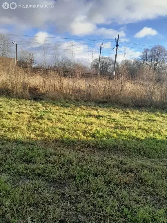 Участок в Сусанино, 10-я линия (18 м) - Фото 0