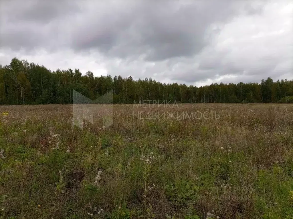 Участок в Тюменская область, Тюменский район, д. Большие Акияры  (8.0 ... - Фото 0